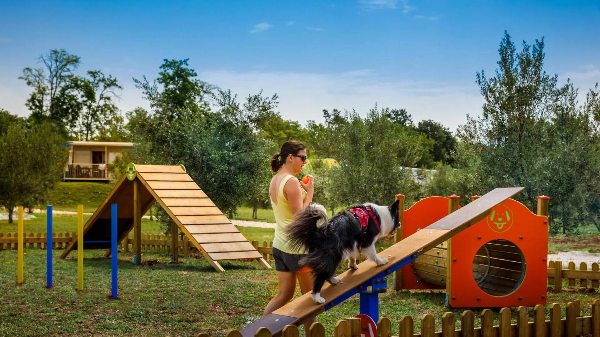 Campsite Aminess Planet Camping Maravea Resort - Pitches Novigrad