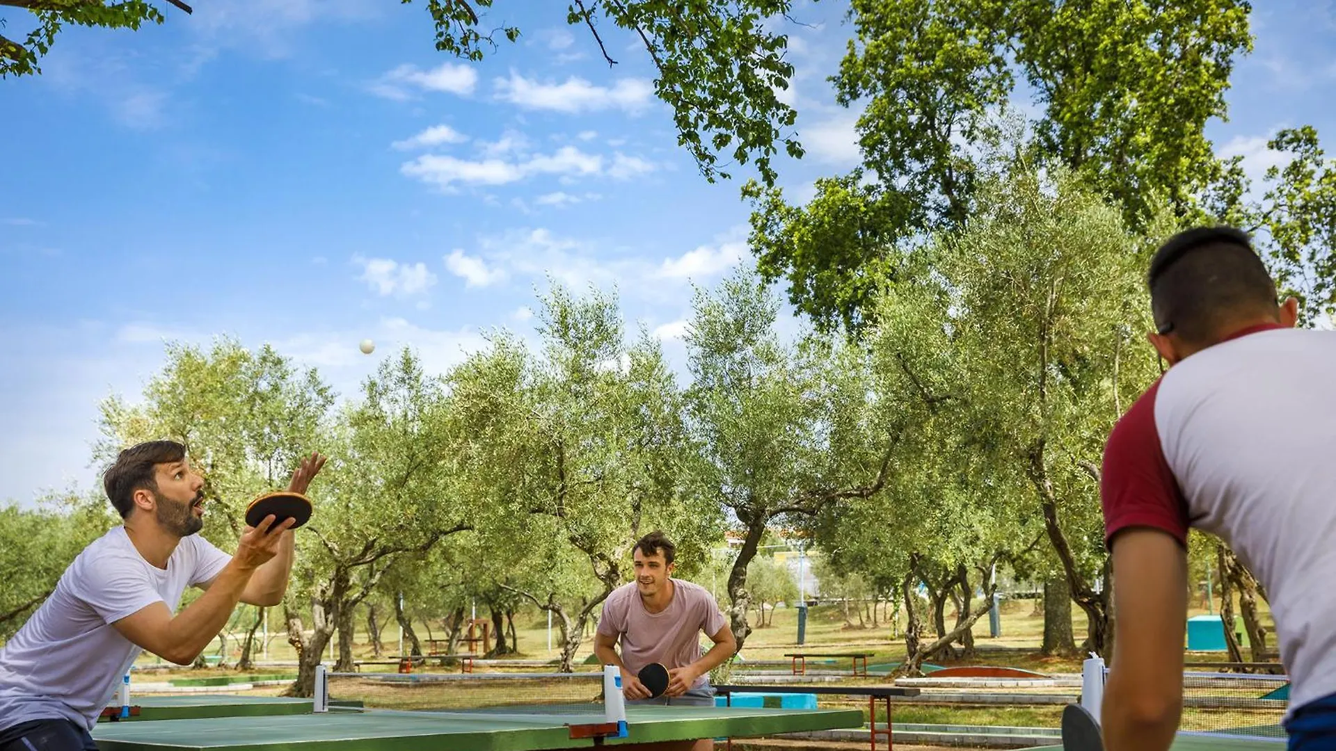 Aminess Planet Camping Maravea Resort - Pitches Novigrad Istria 0*,  Horvátország